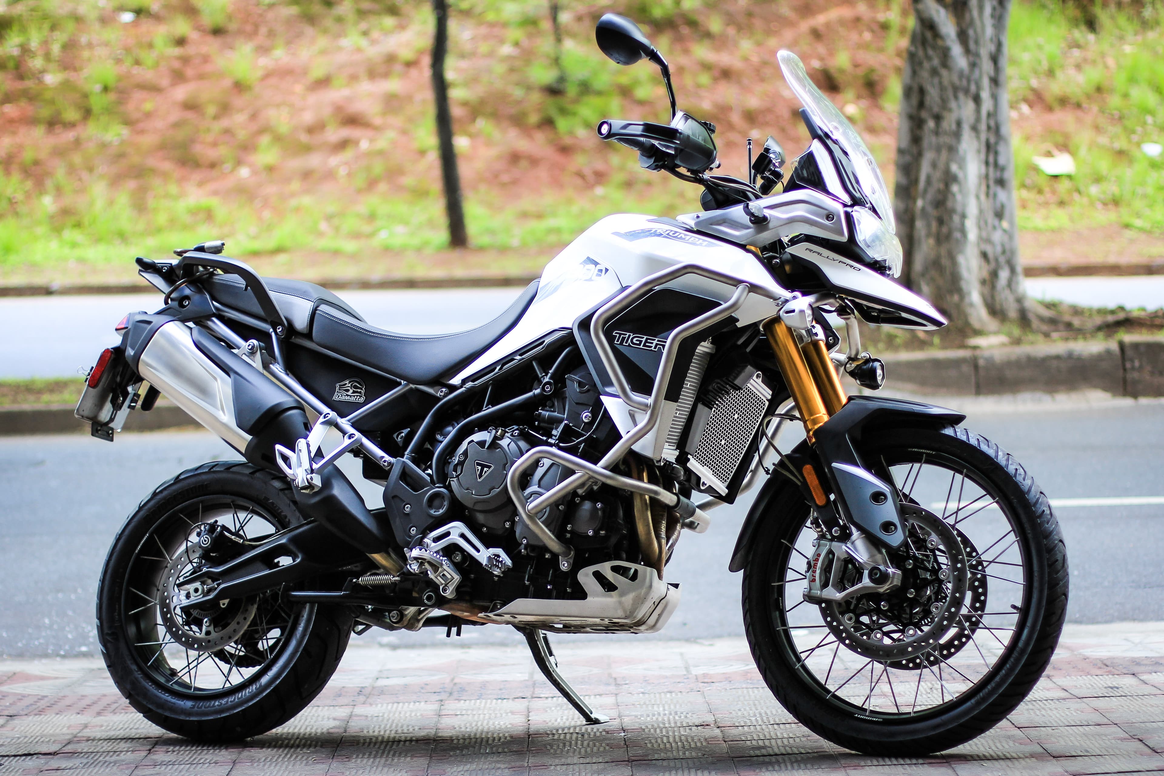 Tiger 900 Rally Pro - Imagem 2