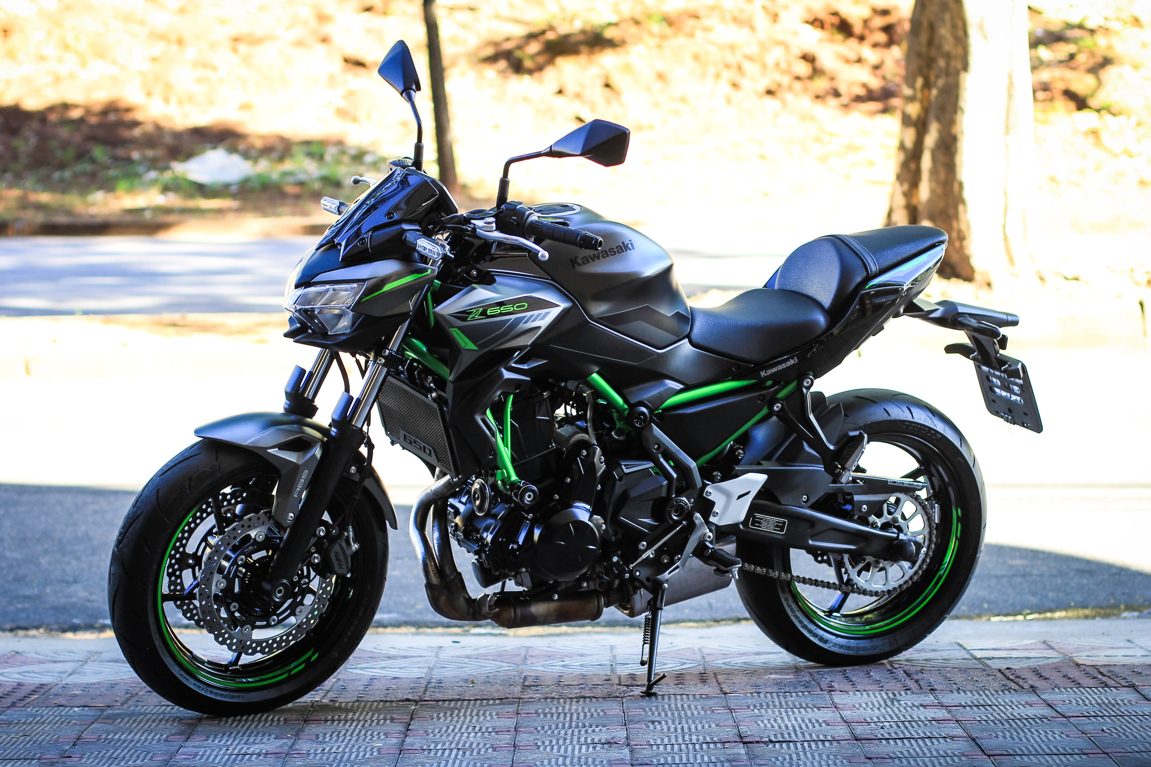 Z650 - Imagem 3
