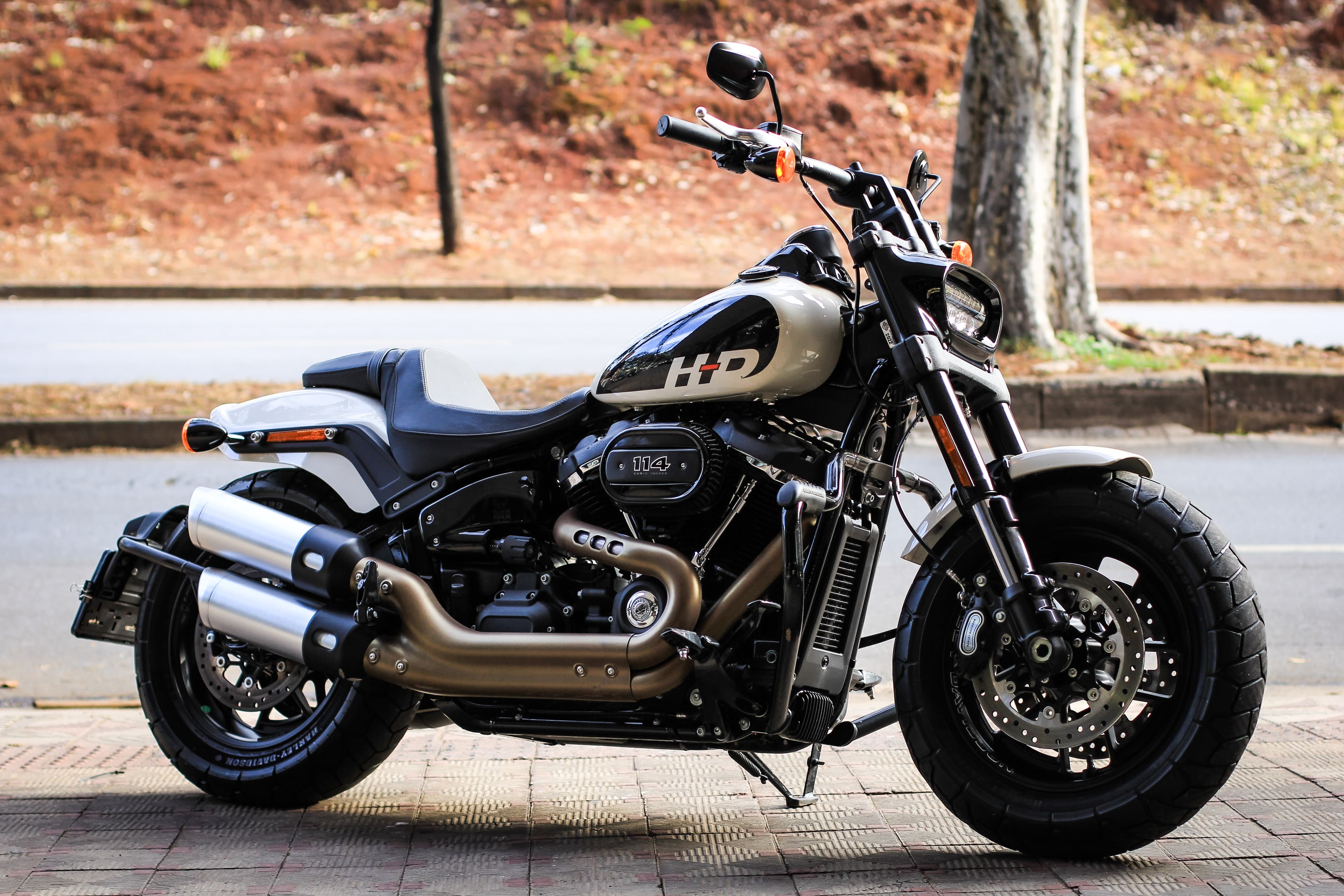 Fatbob 114 - Imagem 2