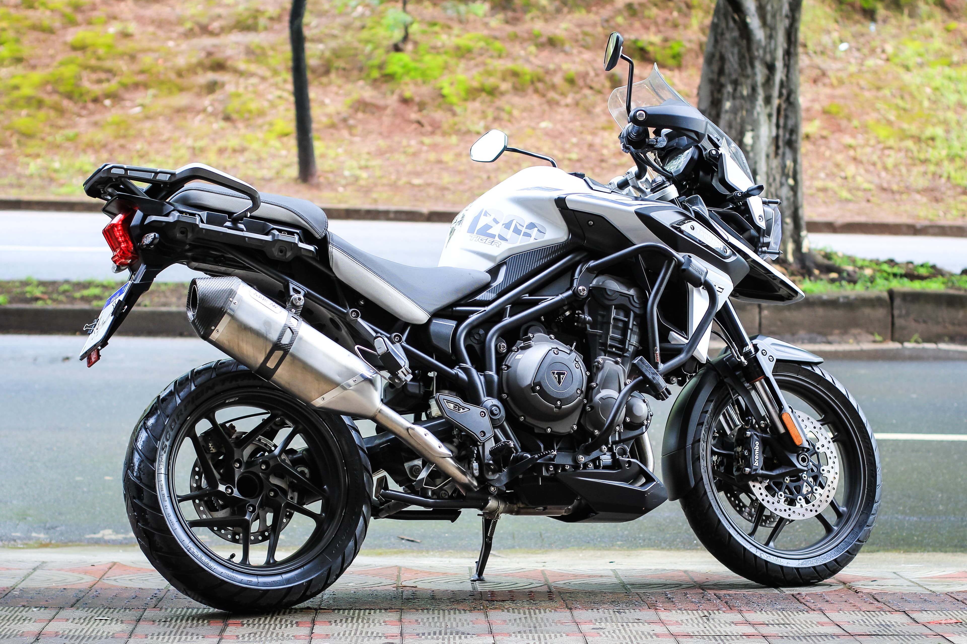 Tiger 1200 Alpine Edition - Imagem 4