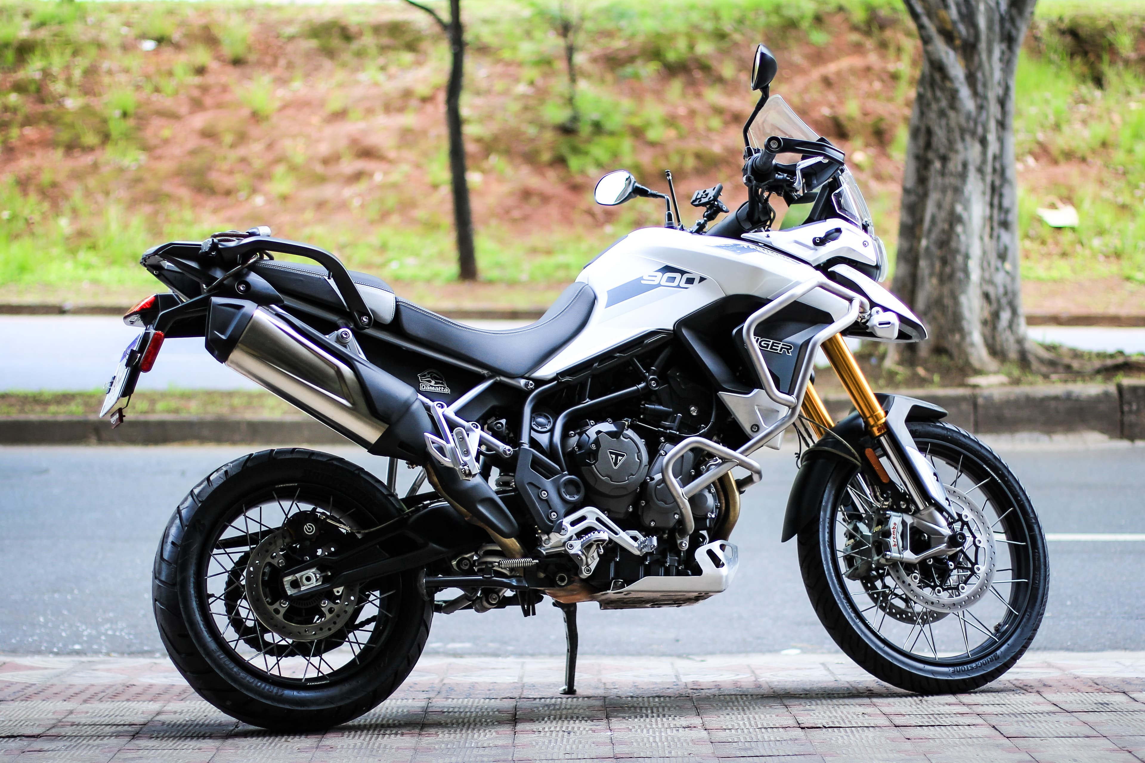 Tiger 900 Rally Pro - Imagem 5