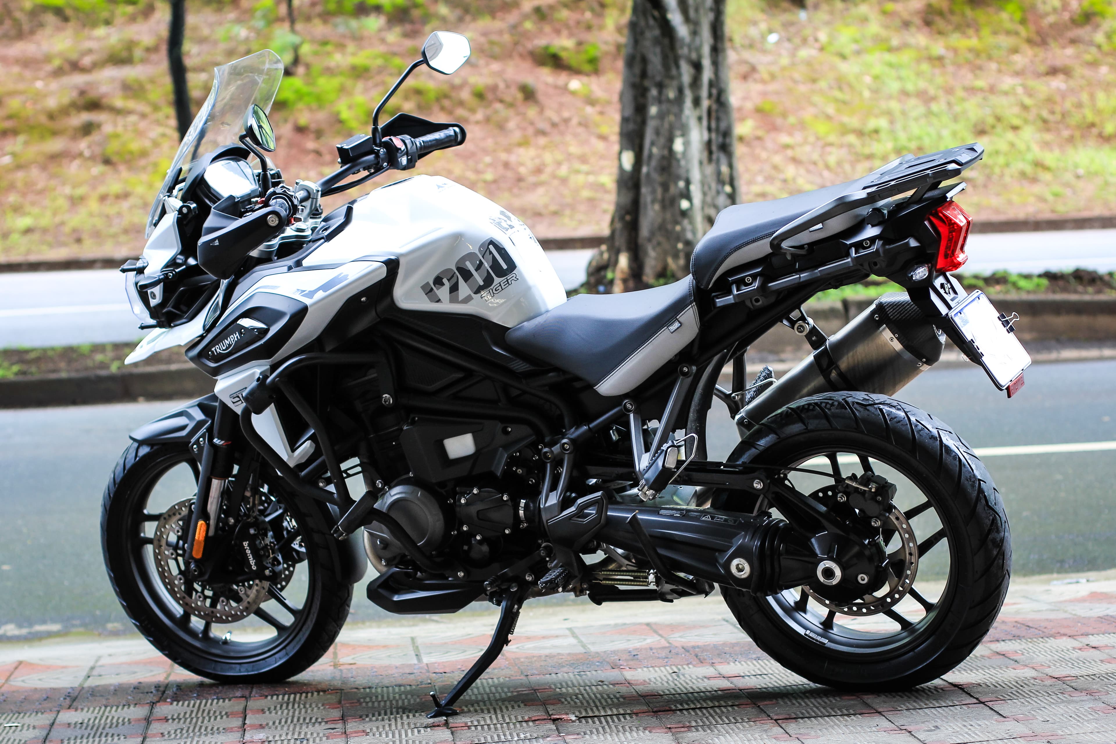 Tiger 1200 Alpine Edition - Imagem 5