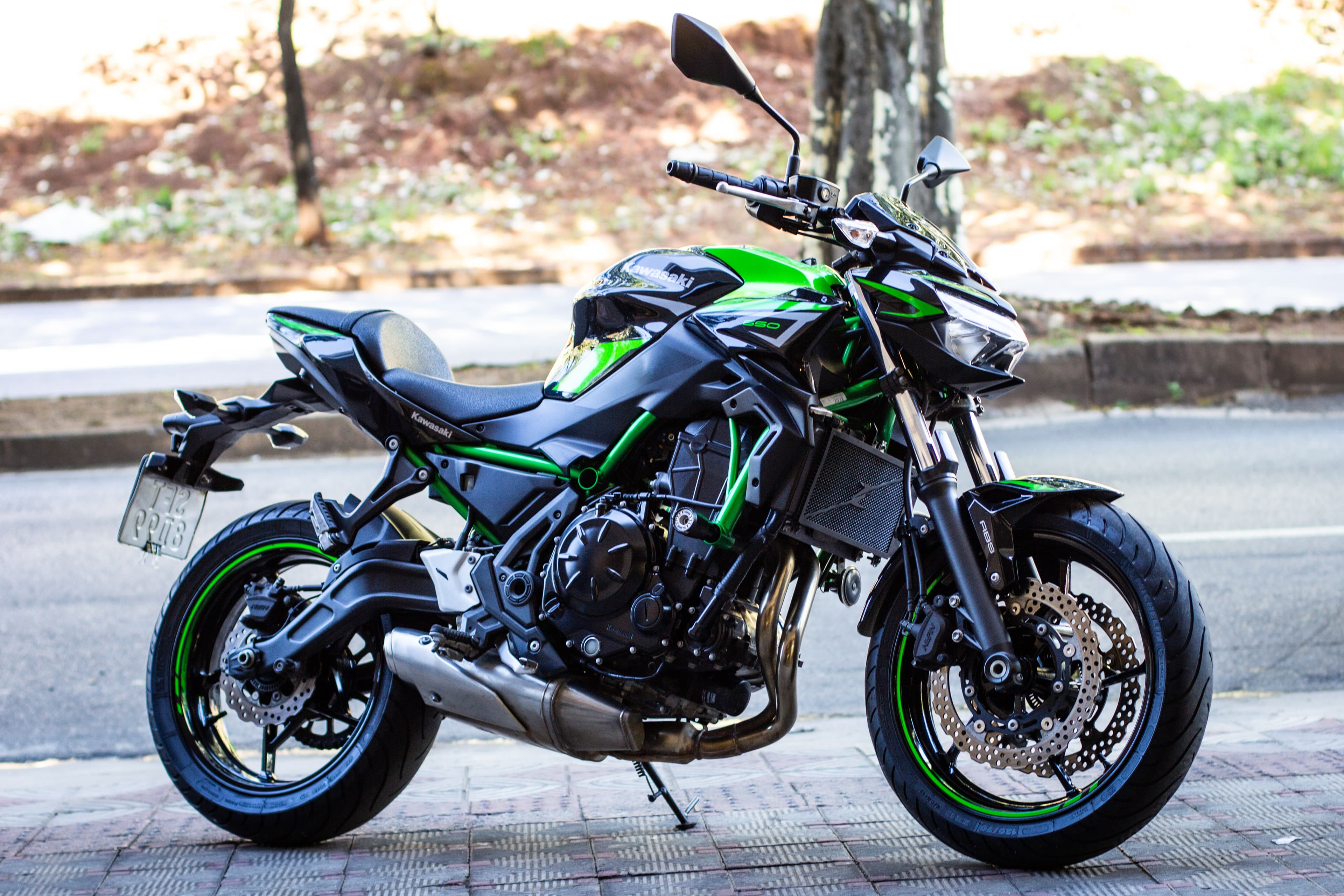 Z650 SE - Imagem 2