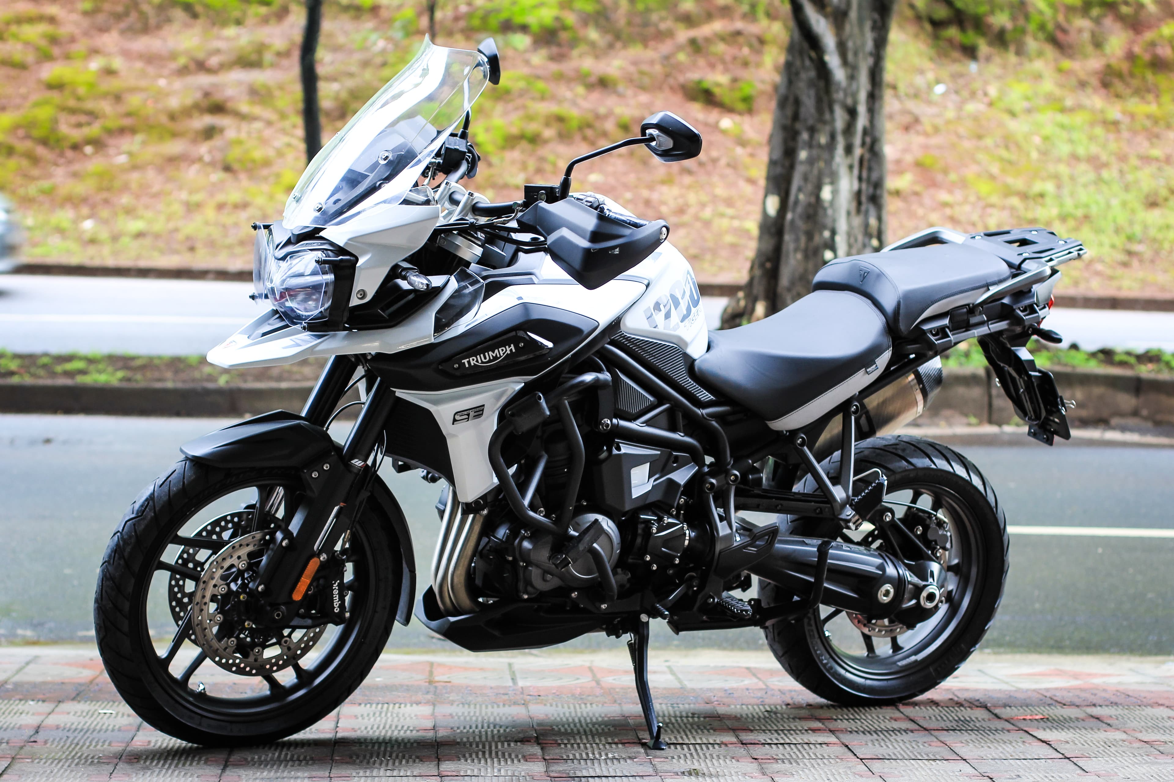 Tiger 1200 Alpine Edition - Imagem 3