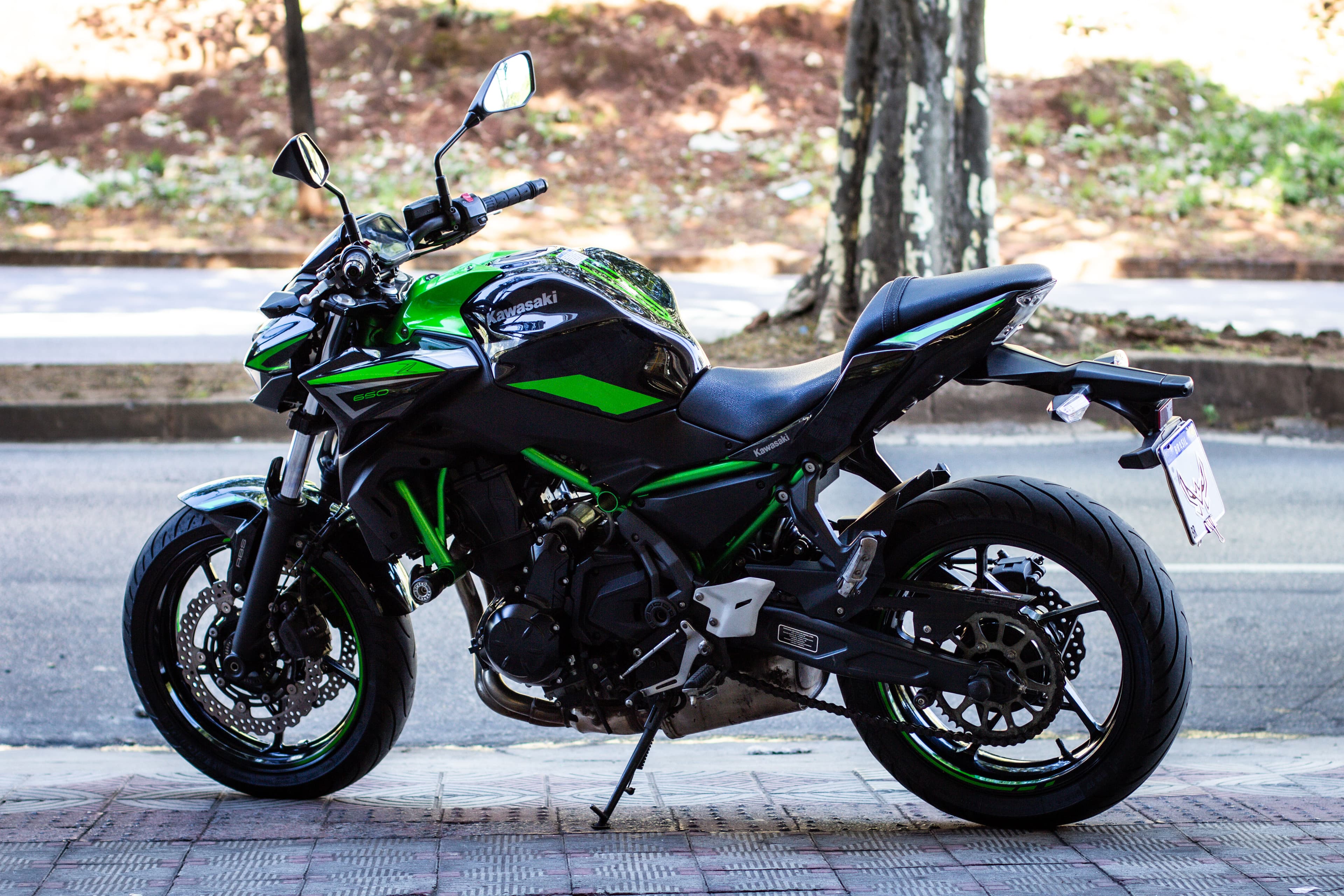 Z650 SE - Imagem 5