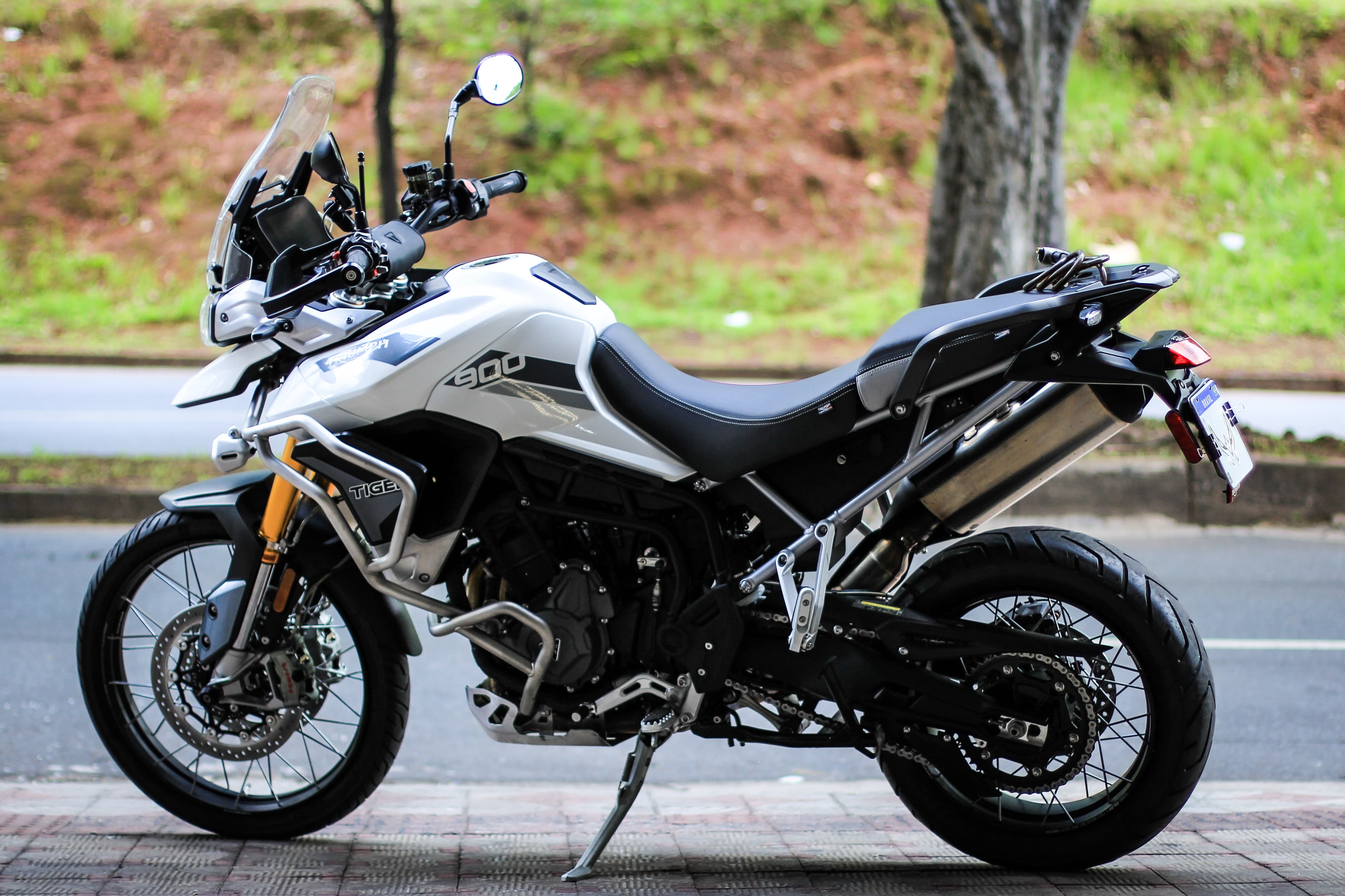 Tiger 900 Rally Pro - Imagem 4