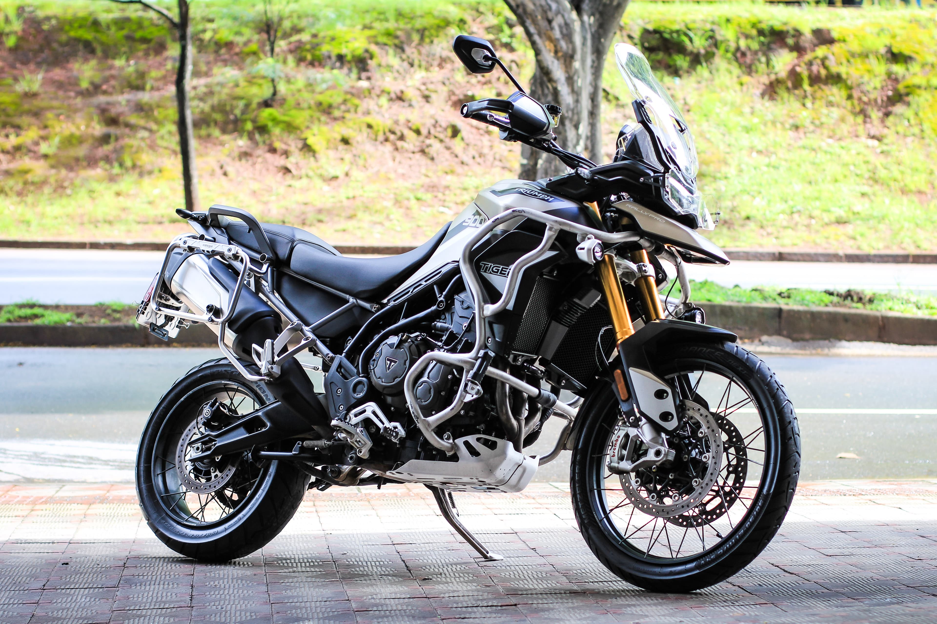 Tiger 900 Rally Pro - Imagem 2