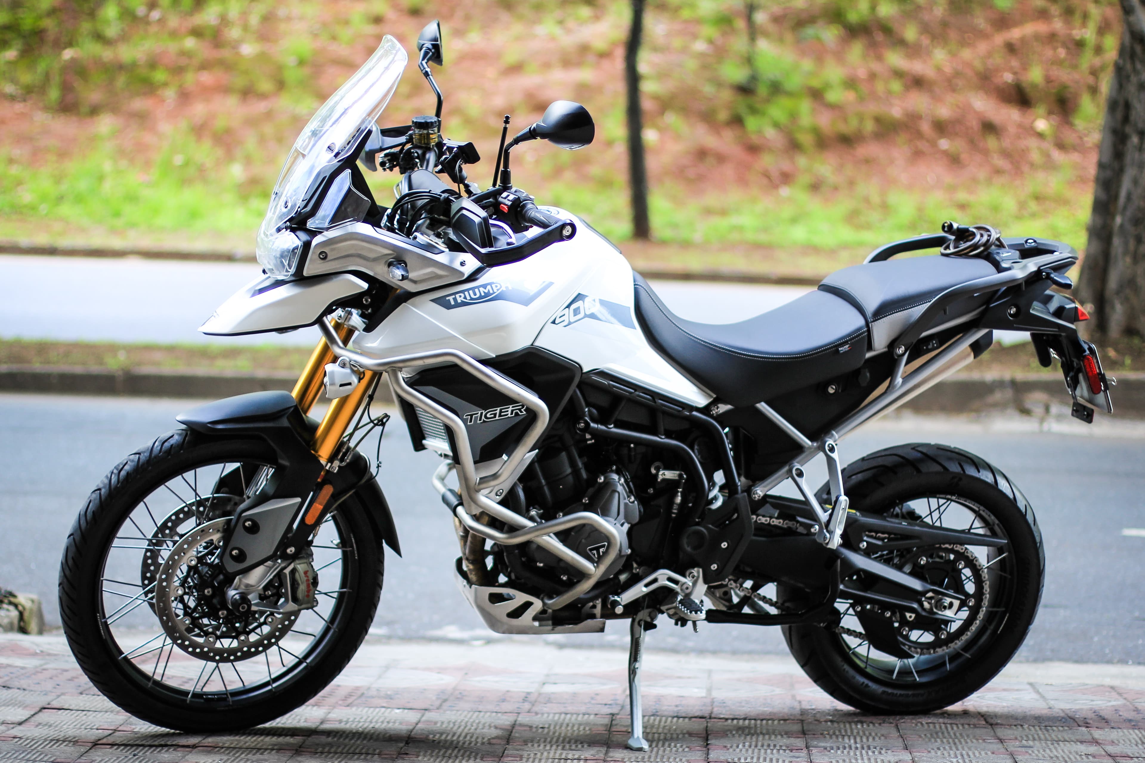 Tiger 900 Rally Pro - Imagem 3
