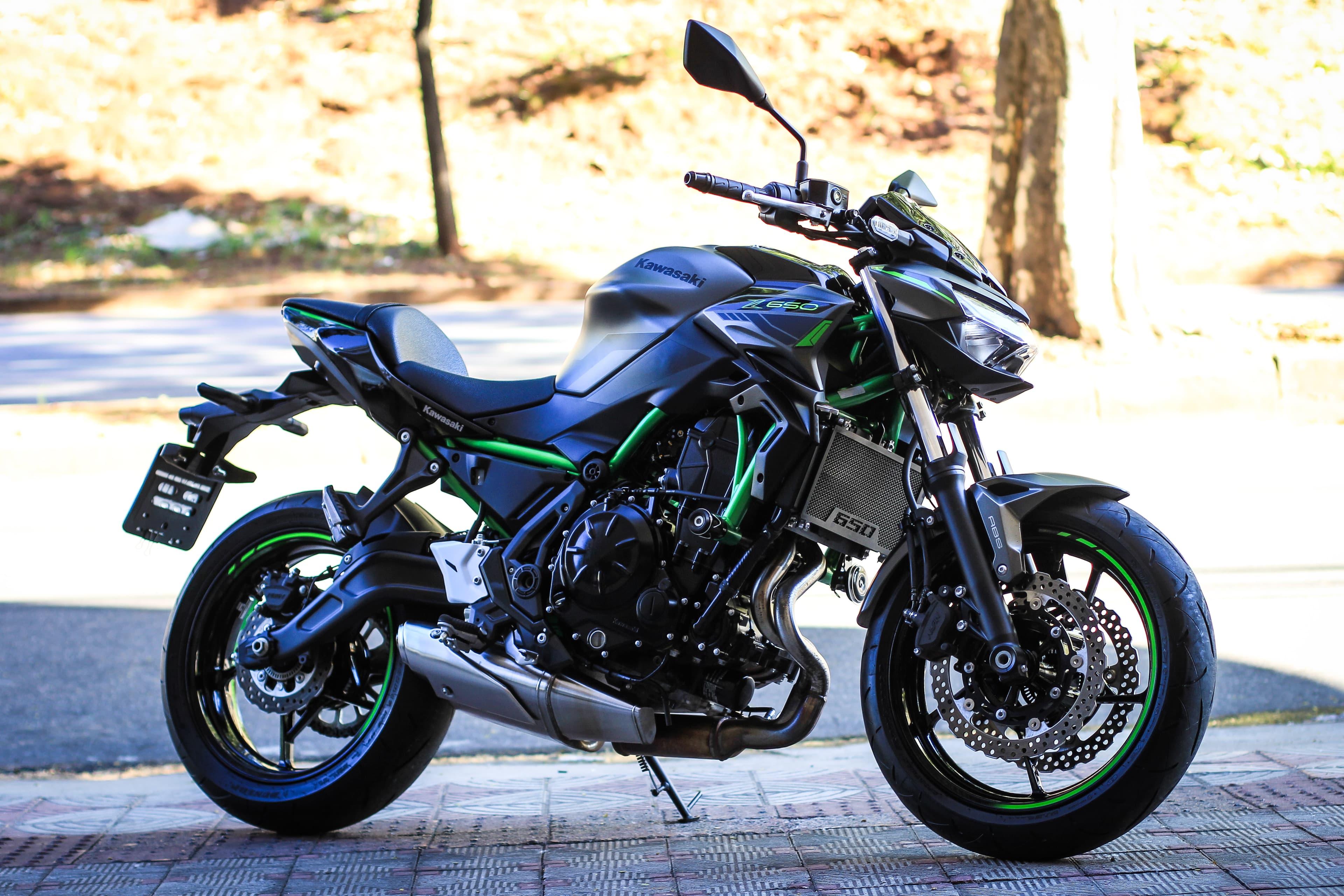 Z650 - Imagem 2